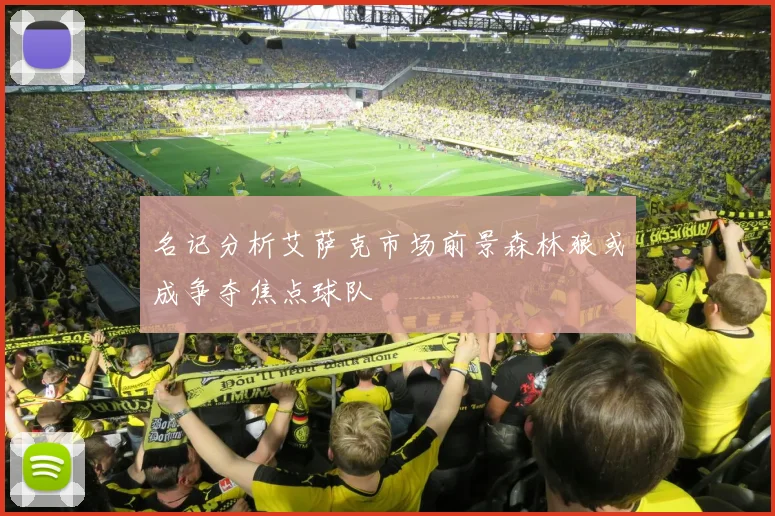 名记分析艾萨克市场前景森林狼或成争夺焦点球队